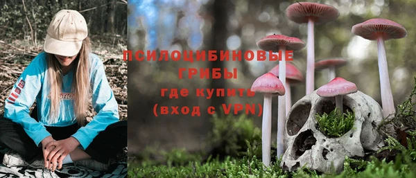 дмт Алексин