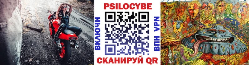 Псилоцибиновые грибы Magic Shrooms  OMG вход  нарко площадка официальный сайт  Болхов 